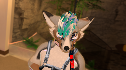 VRChat_2025-04-05_23-46-27.699_3840x2160.png