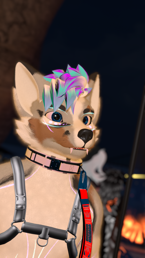 VRChat_2025-04-05_23-46-54.015_3840x2160.png