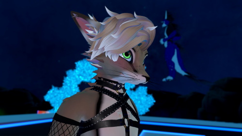 VRChat_2025-04-07_00-37-42.443_3840x2160.png