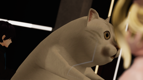 VRChat_2025-04-12_22-14-53.901_3840x2160.png
