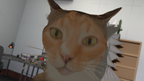 VRChat_2025-04-27_18-34-28.743_3840x2160.png