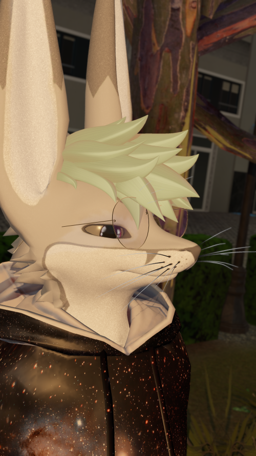 VRChat_2025-05-06_21-12-50.220_3840x2160.png