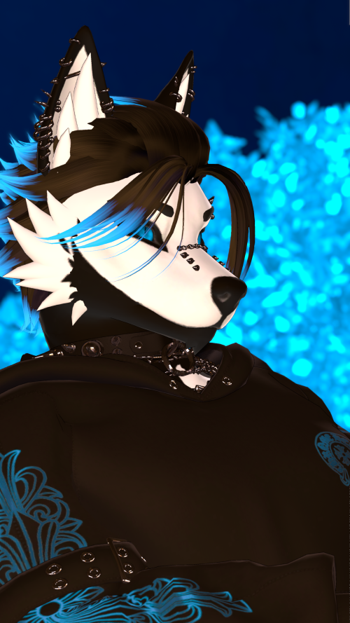 VRChat_2025-05-07_05-40-27.218_3840x2160.png