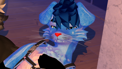 VRChat_2025-05-07_05-47-00.269_3840x2160.png