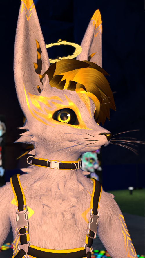 VRChat_2025-05-07_06-21-17.554_3840x2160.png