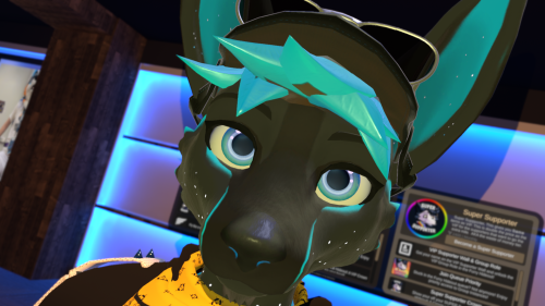 VRChat_2025-05-11_22-10-12.691_1920x1080.png
