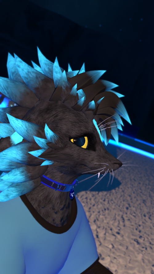 VRChat_2025-05-12_21-37-44.590_1920x1080.png