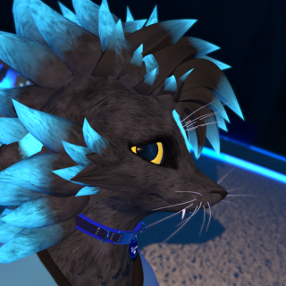 VRChat_2025-05-12_21-37-44.590_1920x1080