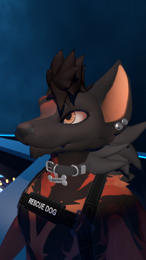 VRChat_2025-05-12_22-14-20.529_1920x1080.png
