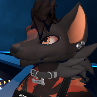 VRChat_2025-05-12_22-14-20.529_1920x1080