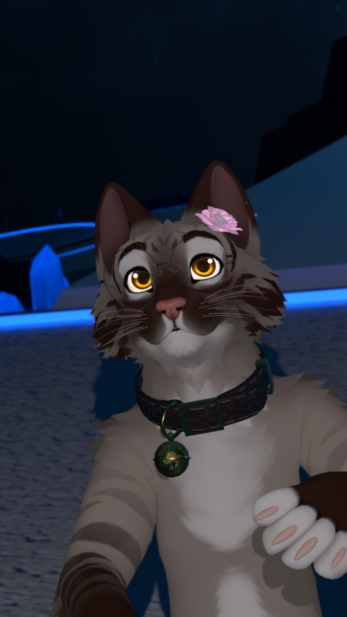 VRChat_2025-05-12_22-24-01.300_1920x1080.png