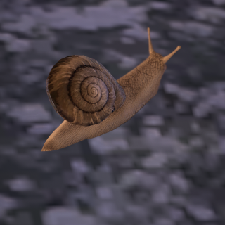 VRChat_2025-05-16_19-20-46.745_3840x2160