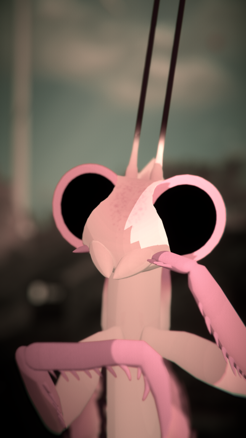 VRChat_2025-05-20_21-53-43.265_3840x2160.png