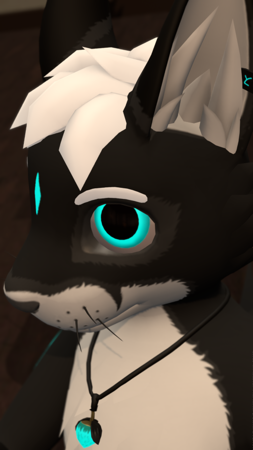 VRChat_2025-05-21_23-00-58.414_3840x2160.png