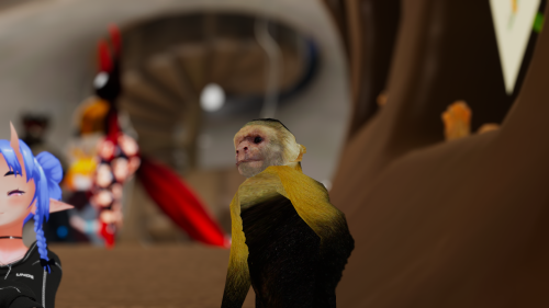 VRChat_2025-05-03_22-11-11.325_3840x2160.png