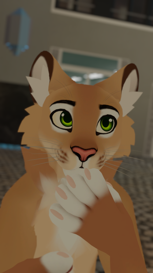 VRChat_2025-05-28_22-31-13.195_3840x2160.png