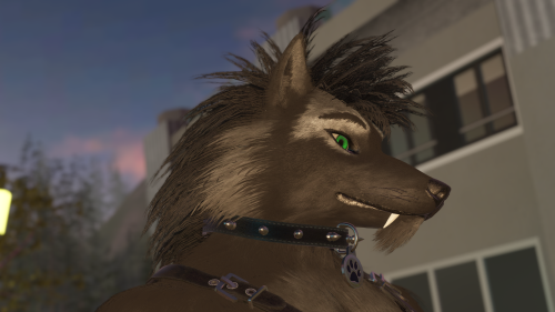 VRChat_2025-05-28_22-32-46.603_3840x2160.png