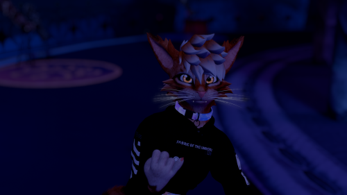 VRChat_2025-06-08_03-23-18.177_3840x2160.png