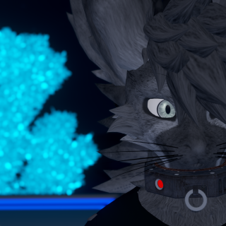 VRChat_2025-06-10_20-39-16.345_3840x2160