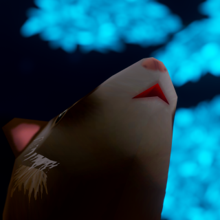 VRChat_2025-06-15_21-52-35.417_3840x2160