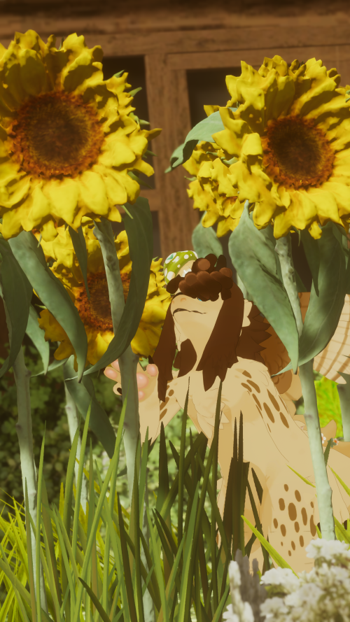 VRChat_2025-06-17_22-25-14.069_3840x2160.png