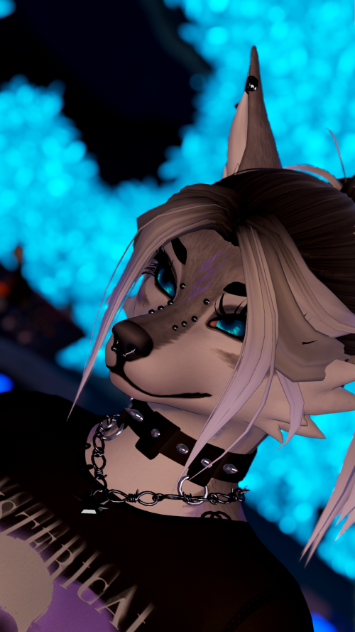 VRChat_2025-07-06_07-11-04.258_3840x2160.png