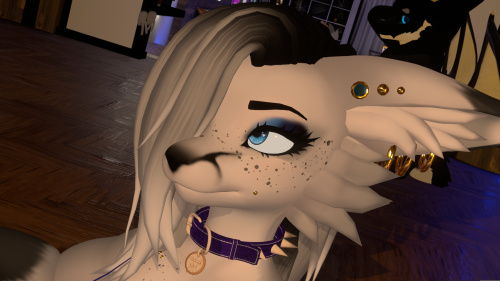 VRChat_2025-07-17_03-05-23.793_3840x2160.png