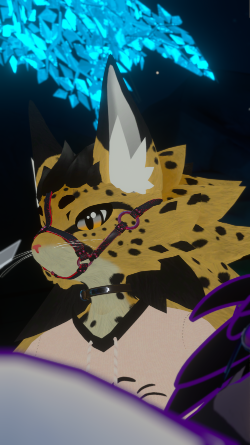 VRChat_2025-07-24_03-27-11.793_3840x2160.png