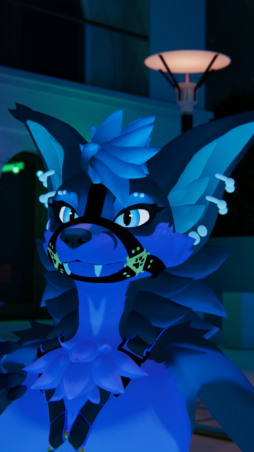 VRChat_2025-07-25_21-02-55.483_3840x2160.png