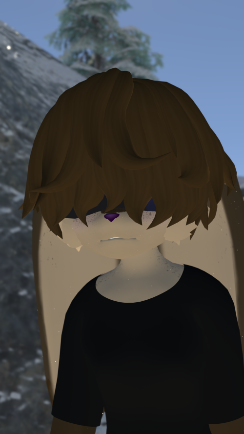 VRChat_2025-07-30_00-58-58.448_3840x2160.png