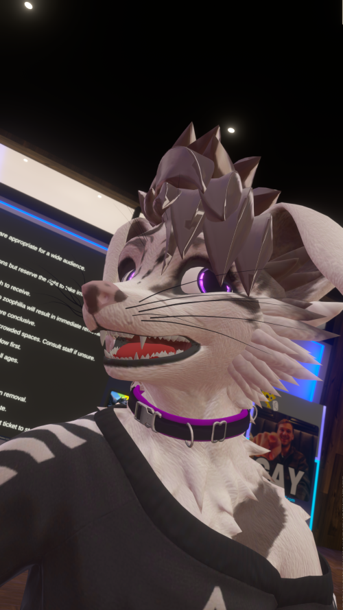 VRChat_2025-08-01_03-55-08.344_3840x2160.png