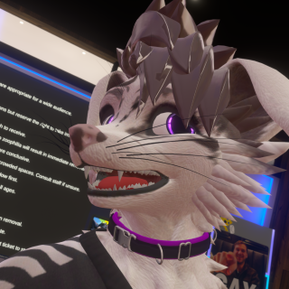 VRChat_2025-08-01_03-55-08.344_3840x2160