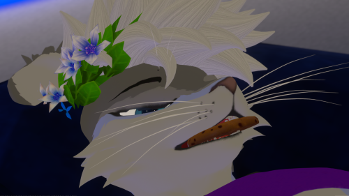 VRChat_2025-08-01_04-01-00.180_3840x2160.png