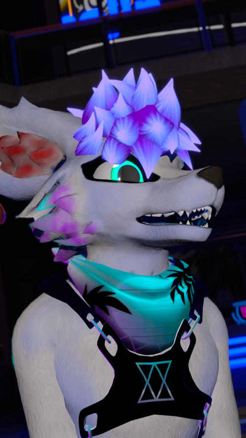 VRChat_2025-08-02_22-59-02.830_3840x2160.png