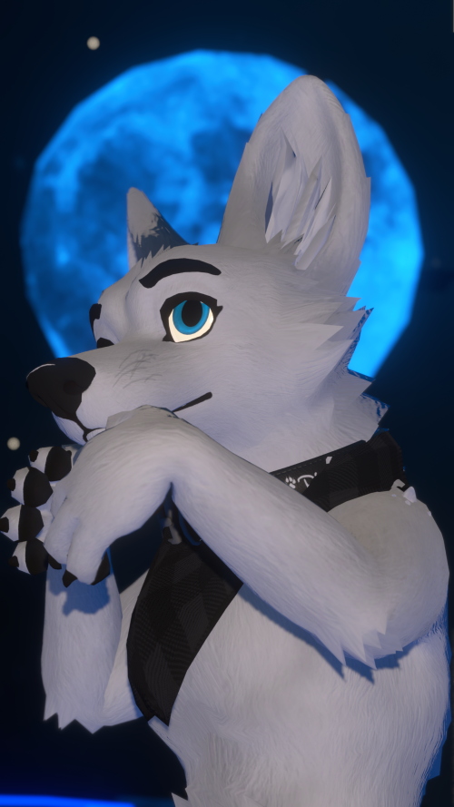 VRChat_2025-08-04_04-50-00.352_3840x2160.png