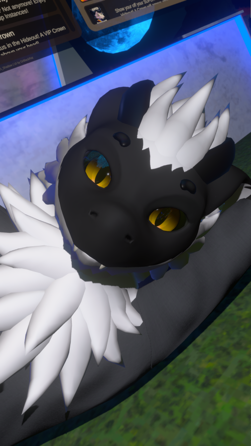 VRChat_2025-08-04_05-06-09.155_3840x2160.png