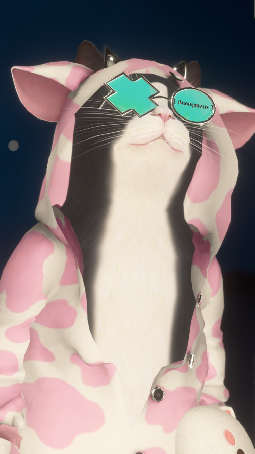 VRChat_2025-08-06_01-36-50.438_3840x2160.png