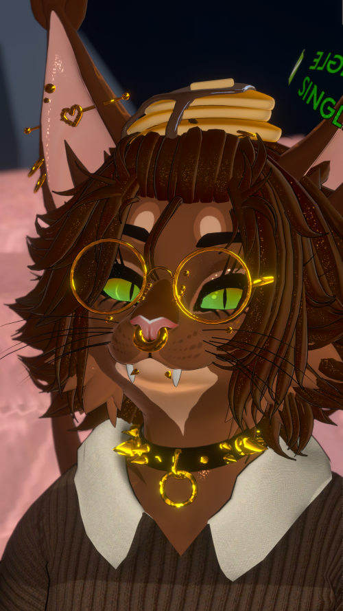 VRChat_2025-08-09_11-22-52.201_3840x2160.png