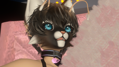 VRChat_2025-08-09_11-26-27.018_3840x2160.png