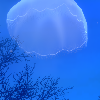 VRChat_2025-08-16_20-35-50.292_3840x2160