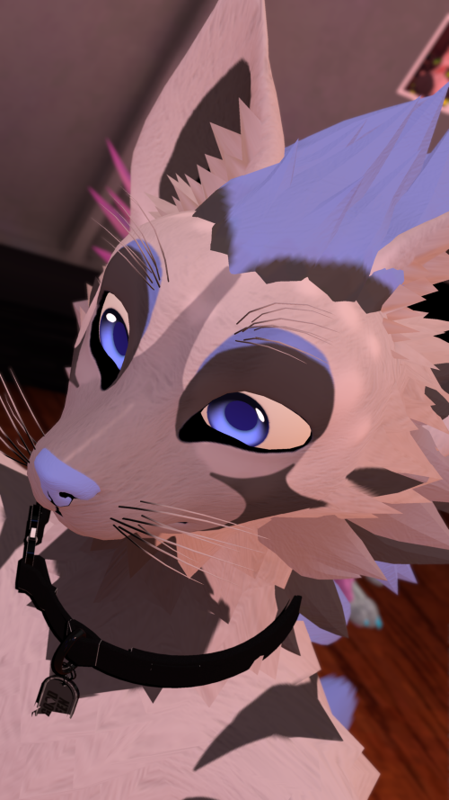 VRChat_2025-08-18_21-27-50.490_3840x2160.png