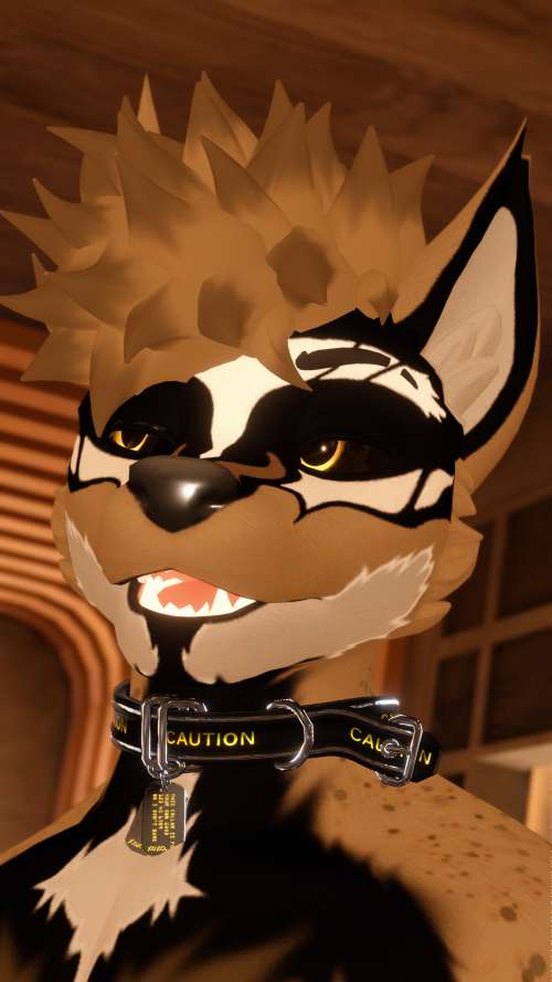 VRChat_2025-08-18_21-47-39.352_3840x2160.png