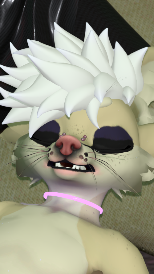 VRChat_2025-08-28_21-51-06.829_3840x2160.png