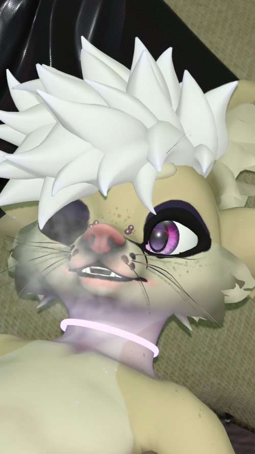 VRChat_2025-08-28_21-51-08.135_3840x2160.png