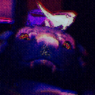 VRChat_2025-08-28_22-41-24.772_3840x2160