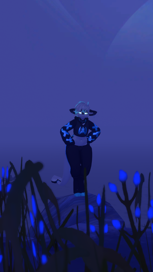 VRChat_2025-09-14_02-21-07.887_2160x3840_wrld_a4c1e2f5-df2c-4c10-aad3-76c933b52cb3.png