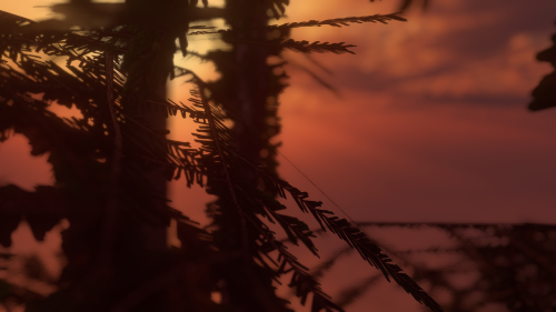 VRChat_2025-08-29_02-24-12.936_3840x2160.png