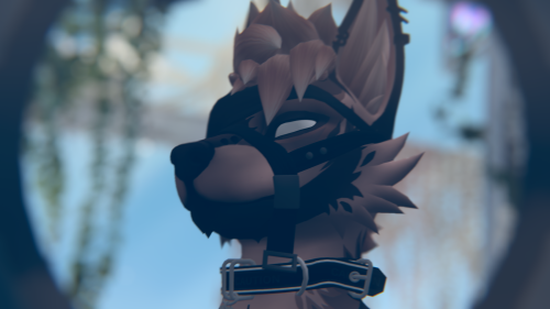 VRChat_2025-09-24_06-32-50.399_3840x2160.png