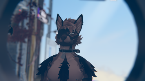 VRChat_2025-09-24_06-33-06.535_3840x2160.png