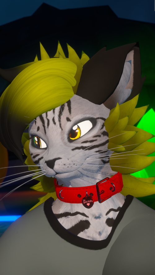 VRChat_2025-09-28_22-09-53.895_3840x2160.png